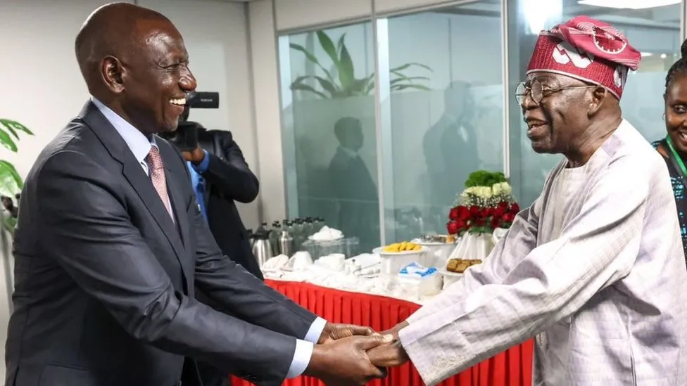 Flying Presidents of Africa: Criticism of International Travel